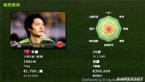 足球经理2011（足球经理2011中文版）